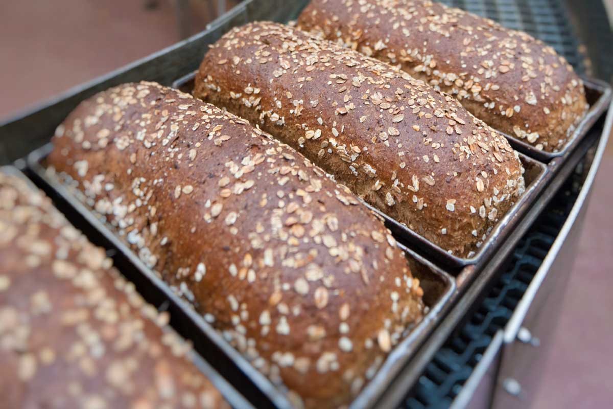 The pathogen risks lurking in baked foods