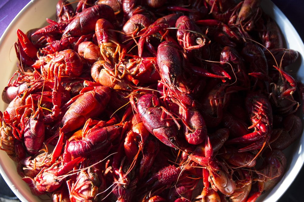 Thibodaux firefighter named King of Louisiana Seafood