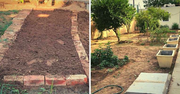 Zero Waste to Organic Food: Ahmedabad Lady’s Toxin-Free Home Will Inspire You!