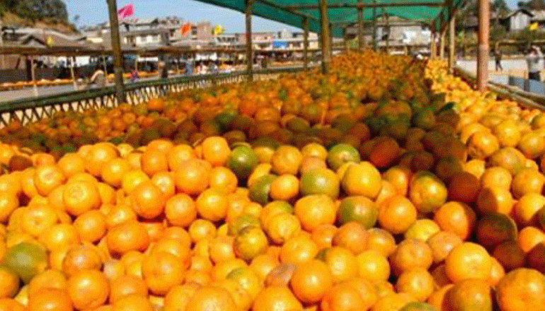 Only India can meet the global organic food call for: Minister Parshottam Khodabhai Rupala