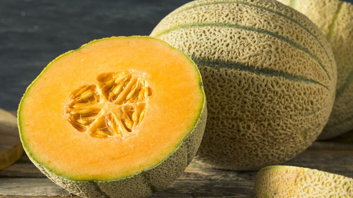 Kernel Export provides its 4 new organic melon types at Organic Food