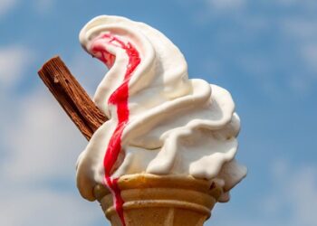 Ice Cream Businesses: A Must-Have For Any Small Business Owner