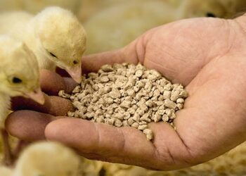 2018-2023 Acids & Nutrients in Animal Nutrition Market Overview, Size, Share.