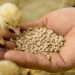 2018-2023 Acids & Nutrients in Animal Nutrition Market Overview, Size, Share.