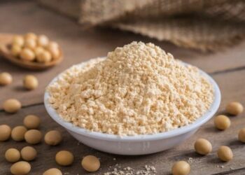 Best Soy Protein Powder in 2019